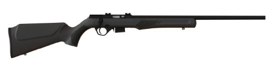 Picture of Rb17 17Hmr Blk/Syn 21" 5+1