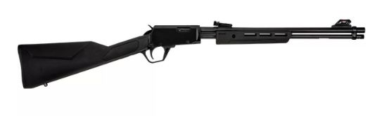 Picture of Gallery 22Lr Bk/Syn 18" 15+1