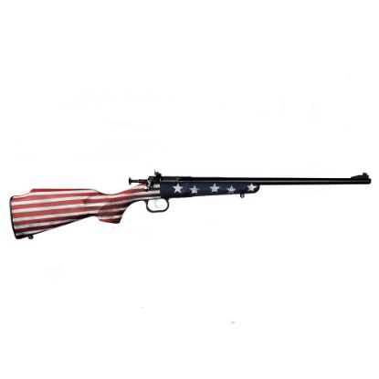 Picture of Crickett 22Lr Old Glory Bl