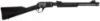 Picture of Gallery 22Lr Bk/Syn 18" Eagle#