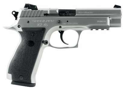 Picture of K2 45 45Acp Ss 4.7" 14+1