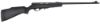 Picture of Cmpt Semi Auto 22Lr Black