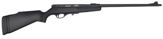 Picture of Cmpt Semi Auto 22Lr Black