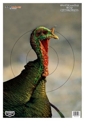 Picture of Birchwood Casey 35403 Pregame Turkey Paper Hanging Universal 12" X 18" Multi-Color 8 Per Pkg 