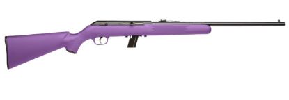 Picture of 64 Semi-Auto 22Lr Purple 10+1