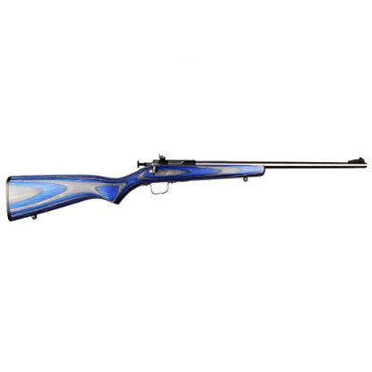 Picture of Crickett 22Lr Ss/Blue Lam