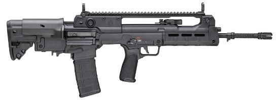 Picture of Hellion 5.56 Blk 20" 30+1