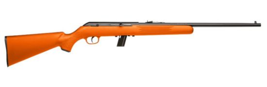 Picture of 64 Semi-Auto 22Lr Orange 10+1