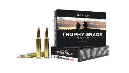 Picture of Nosler 60040 Trophy Grade 6.5X284 Norma 140 Gr Nosler Accubond 20 Per Box/ 10 Case 