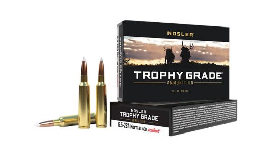 Picture of Nosler 60040 Trophy Grade 6.5X284 Norma 140 Gr Nosler Accubond 20 Per Box/ 10 Case 