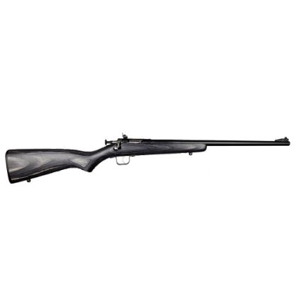 Picture of Crickett 22Lr Bl/Black Lam