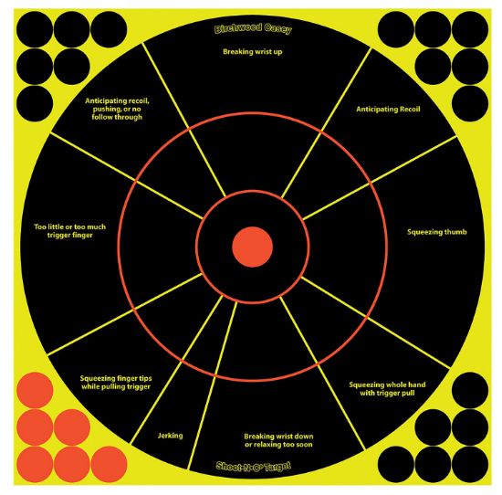 Picture of Birchwood Casey 34032 Shoot-N-C Reactive Target Self-Adhesive Paper Handgun Black/Yellow 12" Circle Includes Pasters 5 Pack 