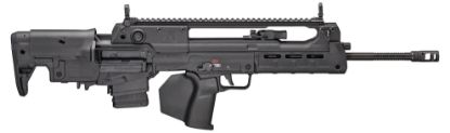 Picture of Hellion 5.56 Blk 20" 10+1 Ca