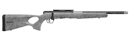 Picture of B22 22Lr Bl/Gry 18" Carbon Tb