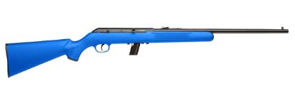 Picture of 64 Semi-Auto 22Lr Blue 10+1