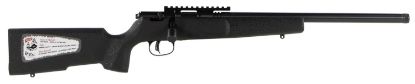 Picture of Savage Arms 13823 Rascal Target 22 Lr Caliber With 1Rd Capacity, 16.12" Barrel, Matte Blued Metal Finish & Matte Black Synthetic Stock Right Hand (Youth) 