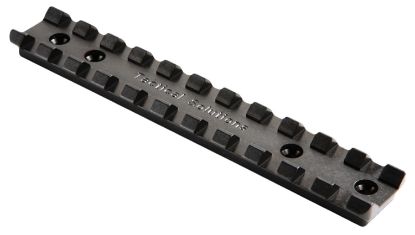Picture of Tactical Solutions 1022Srstd Standard Scope Rail For 10/22 Rifles Black 