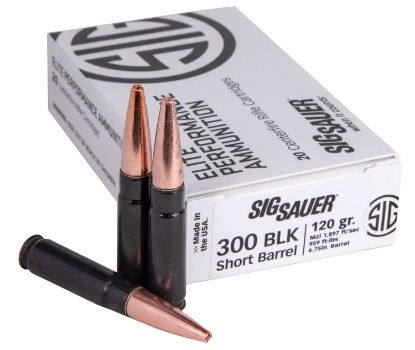 Picture of Sig Sauer E300h1sbr20 Elite Performance 300 Blackout 120 Gr Copper Solid 20 Per Box/ 10 Case 