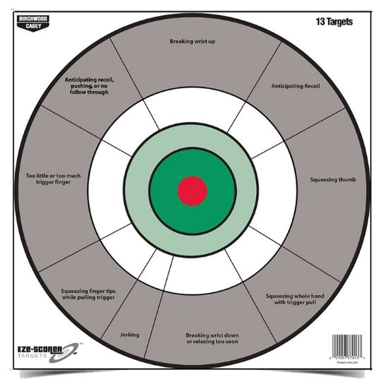 Picture of Birchwood Casey 37245 Eze-Scorer 12" Bullseye Paper Hanging Gray/White 13 Per Pkg 