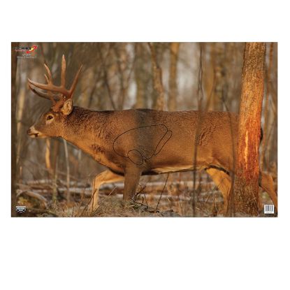 Picture of Birchwood Casey 37481 Eze-Scorer Whitetail Deer Paper Hanging 23" X 35" Multi-Color 2 Per Pkg 