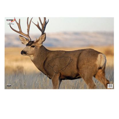 Picture of Birchwood Casey 37482 Eze-Scorer Mule Deer Paper Hanging 23" X 35" Multi-Color 2 Per Pkg 