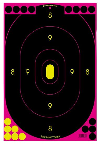 Picture of Birchwood Casey 34633 Shoot-N-C Reactive Target Black/Pink Hanging Paper Pink Pkg Of 100 Includes Pasters 