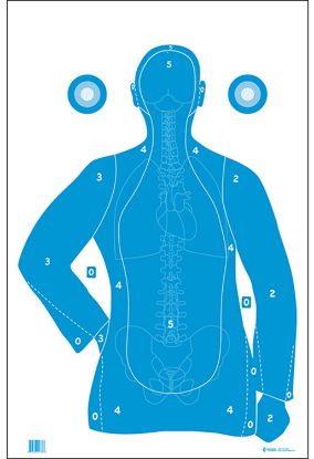 Picture of Action Target Fb21eantav2100 Qualification Silhouette/Vitals Paper Hanging 23" X 35" Blue/White 100 Per Box 