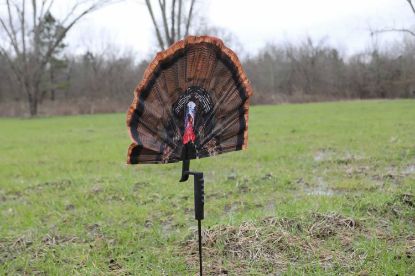 Picture of Mojo Outdoors Hw2497 Fatal Fan Turkey Species Multi Color Synthetic 