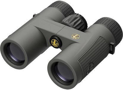 Picture of Leupold 172660 Bx-4 Pro Guide Hd 10X32mm Roof Prism Shadow Gray Armor Coated 