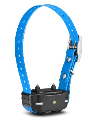Picture of Garmin 0100120910 Pt10 Dog Device Collar Blue Rechargeable Li-Ion 1 Mile Range 