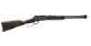 Picture of Garden Gun 22Lr Bl/Wd 18.5"