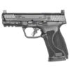 Picture of M&P10mm M2.0 10Mm 4" Nts Or