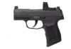 Picture of P365 380Acp Zero Elite 10+1  #