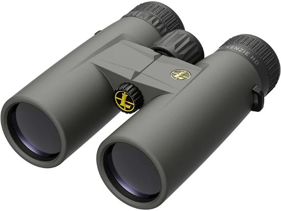 Picture of Leupold 181173 Bx-1 Mckenzie Hd 10X 42Mm Roof Prism Shadow Gray Armor Coated Magnesium 