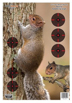 Picture of Birchwood Casey 35406 Pregame Squirrel Paper Hanging Rifle 12" X 18" Impact Enhancement 8 Per Pkg 