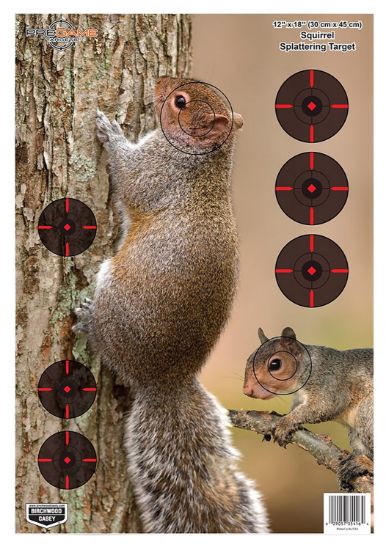 Picture of Birchwood Casey 35406 Pregame Squirrel Paper Hanging Rifle 12" X 18" Impact Enhancement 8 Per Pkg 