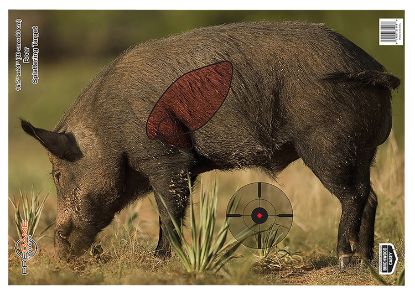 Picture of Birchwood Casey 35408 Pregame Boar Paper Target 16.50" X 24" 3 Per Pkg 