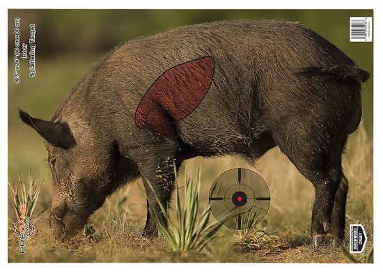 Picture of Birchwood Casey 35408 Pregame Boar Paper Target 16.50" X 24" 3 Per Pkg 