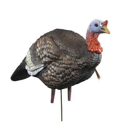 Picture of Higdon Outdoors 63144 Hard Body 1/4 Strut Jake Turkey Species Multi Color 