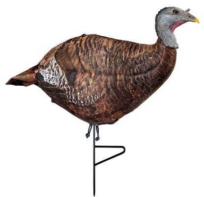Picture of Primos 69070 Photoform Leading Hen Turkey, Lightweight/Flexible/Collapsible Foam, Life Like Head Detail 