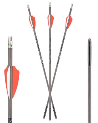 Picture of Axe Crossbows Ax10004 Axe 440 Bolt Combo Pack Gray/Orange/White 19" 3 Bolts And 3 Lighted Nocks 