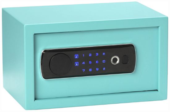 Picture of Bulldog Bd5012 Duo Digital Keypad/Biometric/Key Entry Teal Powder Coated Steel Holds 1 Handgun Led Keypad 