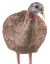 Picture of Avian X Avxavx8008 Lcd Breeder Hen Turkey Species Multi Color Dura-Rubber 