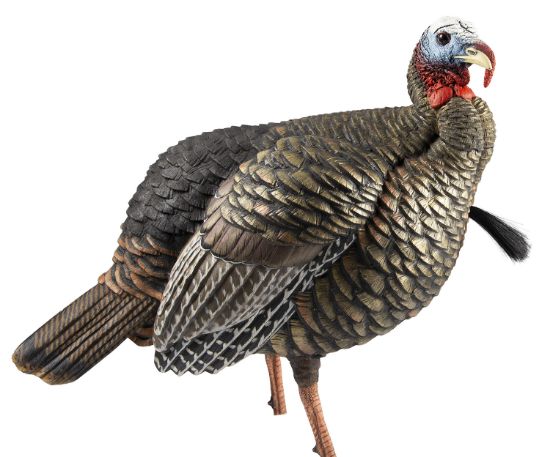 Picture of Avian X Avxavx8105 Hdr Jake Turkey Decoy Multi Color 