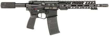 Picture of Pof 01796 Ren+ Pstl Di Mft 10 9M Rail 300 Blk 