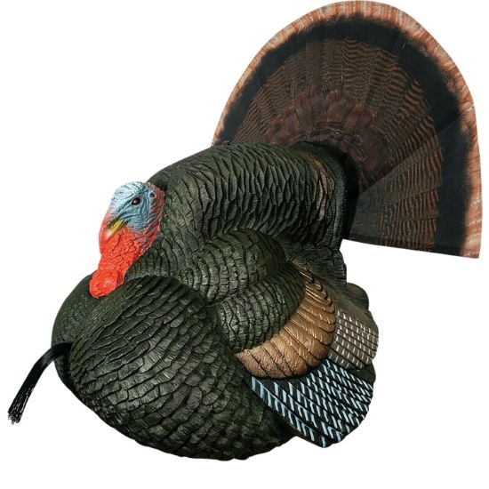 Picture of Primos 69076 Lil' Gobblestopper Strutter Box Call Turkey Sounds 