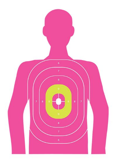 Picture of Ez-Aim 15646 In The Pink Paper Works W/Handgun/Shotgun/Airsoft Gun/Bb Guns/Pellet Gun 12 X 18 Pink 8 Pack 