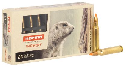Picture of Norma Ammunition 20157352 Dedicated Hunting Varmint 223 Rem 55 Gr Polymer Tip 20 Per Box/ 10 Case 