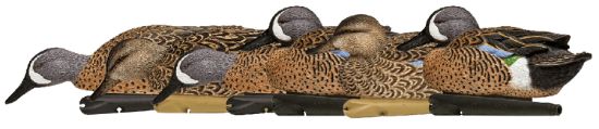 Picture of Avian X Avx-Avx8080 Topflight Teal Species Multi-Color 