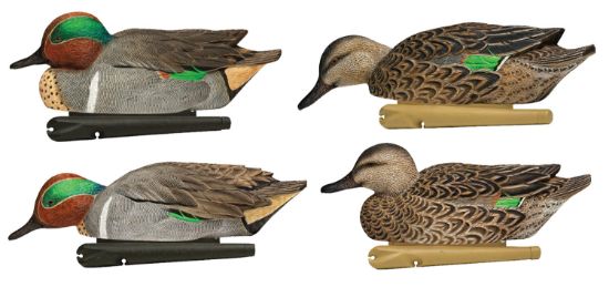 Picture of Avian X Avx-Avx8081 Topflight Teal Species Multi-Color 